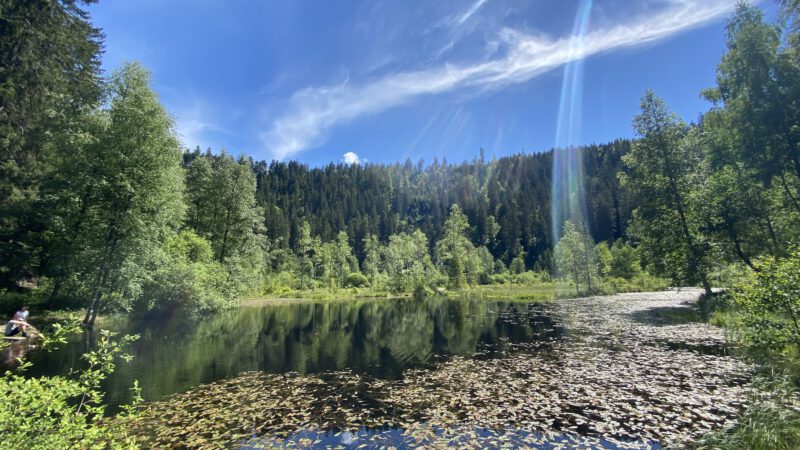 Schwarzwald: Ellbachsee